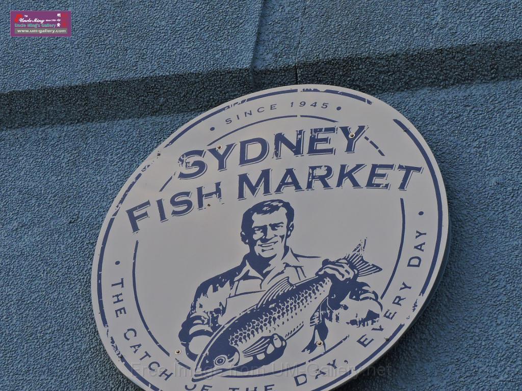 28072015sf Syd, Fish Market_DSCN0294.JPG